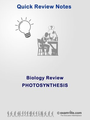 cover image of Photosynthesis Explained--Quick Review & Outline